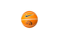 Nike Training Basketball